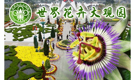 仅38元！抢购原价50元的四环内最大植物园『世界花卉大观园』成人实体票，超长有效期至2012年12月30日！国家AAAA级旅游景区，京城赏花游玩绝佳去处！北京四环内最大的植物园，十五大温室与十五个花园广场组成！纵观世界奇花异草，用双眼欣赏世界珍奇植物！游世